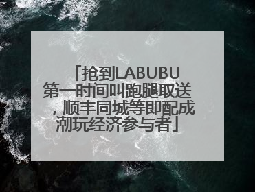 抢到LABUBU第一时间叫跑腿取送，顺丰同城等即配成潮玩经济参与者