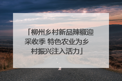 柳州乡村新品辣椒迎采收季 特色农业为乡村振兴注入活力