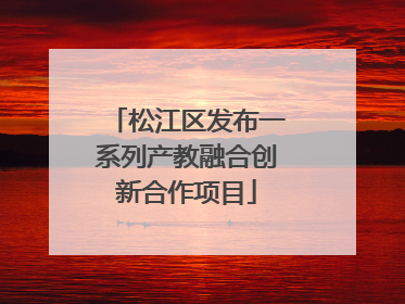 松江区发布一系列产教融合创新合作项目