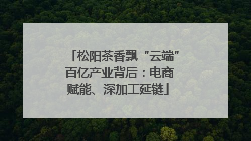 松阳茶香飘“云端” 百亿产业背后：电商赋能、深加工延链