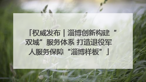权威发布｜淄博创新构建“双域”服务体系 打造退役军人服务保障“淄博样板”