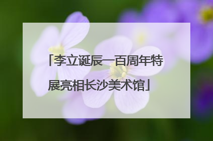李立诞辰一百周年特展亮相长沙美术馆
