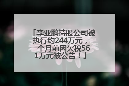 李亚鹏持股公司被执行约244万元，一个月前因欠税561万元被公告！