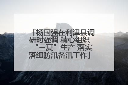 杨国强在利津县调研时强调 精心组织“三夏”生产 落实落细防汛备汛工作