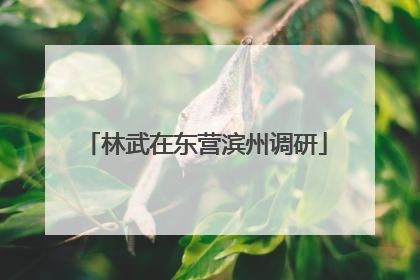 林武在东营滨州调研