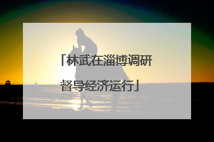 林武在淄博调研督导经济运行