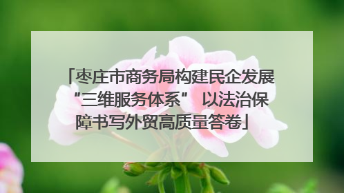 枣庄市商务局构建民企发展“三维服务体系” 以法治保障书写外贸高质量答卷