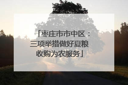 枣庄市市中区：三项举措做好夏粮收购为农服务
