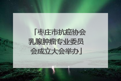 枣庄市抗癌协会乳腺肿瘤专业委员会成立大会举办