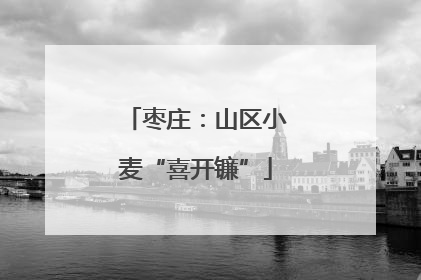 枣庄：山区小麦“喜开镰”
