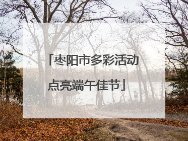 枣阳市多彩活动点亮端午佳节