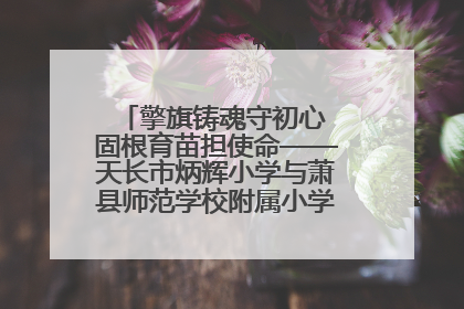 擎旗铸魂守初心 固根育苗担使命——天长市炳辉小学与萧县师范学校附属小学结对共建活动纪实
