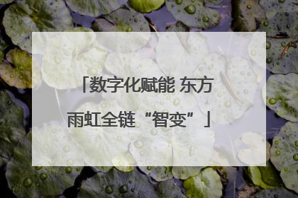 数字化赋能 东方雨虹全链“智变”