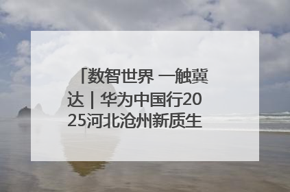 数智世界 一触冀达｜华为中国行2025河北沧州新质生产力峰会成功举办