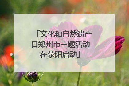 文化和自然遗产日郑州市主题活动在荥阳启动