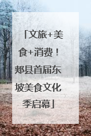 文旅+美食+消费！郏县首届东坡美食文化季启幕