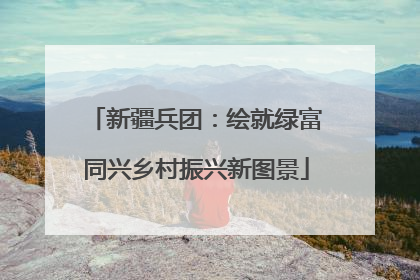 新疆兵团：绘就绿富同兴乡村振兴新图景
