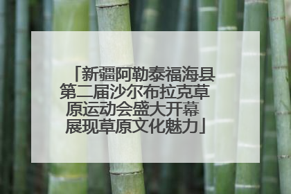 新疆阿勒泰福海县第二届沙尔布拉克草原运动会盛大开幕 展现草原文化魅力
