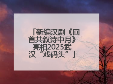新编汉剧《回首共叙诗中月》亮相2025武汉“戏码头”