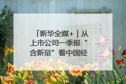 新华全媒+｜从上市公司一季报“含新量”看中国经济发展向“新”