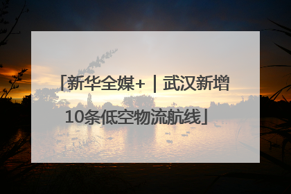 新华全媒+｜武汉新增10条低空物流航线