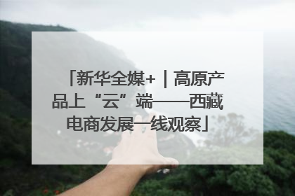 新华全媒+｜高原产品上“云”端——西藏电商发展一线观察