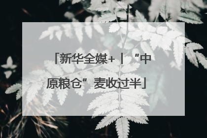 新华全媒+丨“中原粮仓”麦收过半