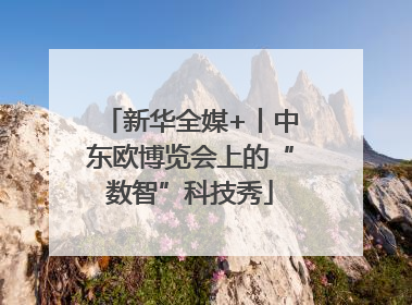 新华全媒+丨中东欧博览会上的“数智”科技秀