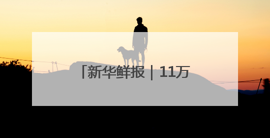 新华鲜报｜11万列！中欧班列跑出亚欧大陆“新时速”