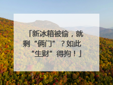 新冰箱被偷，就剩“俩门”？如此“生财”得拘！