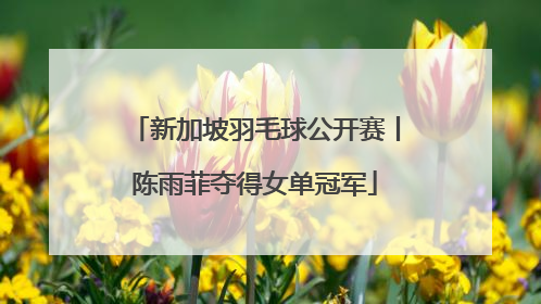 新加坡羽毛球公开赛丨陈雨菲夺得女单冠军