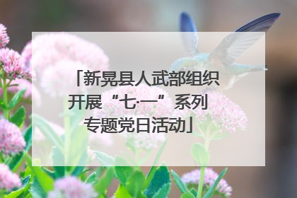 新晃县人武部组织开展“七·一”系列专题党日活动