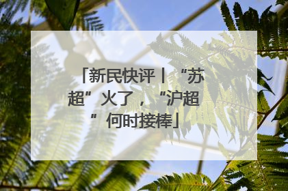新民快评丨“苏超”火了，“沪超”何时接棒