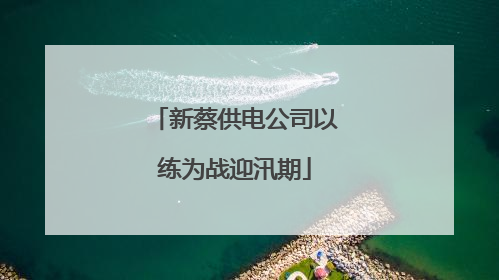 新蔡供电公司以练为战迎汛期