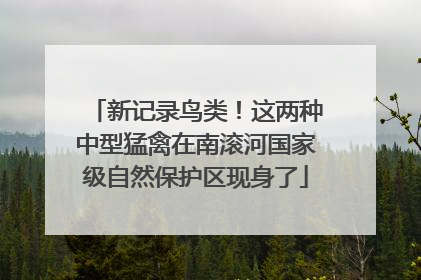 新记录鸟类！这两种中型猛禽在南滚河国家级自然保护区现身了