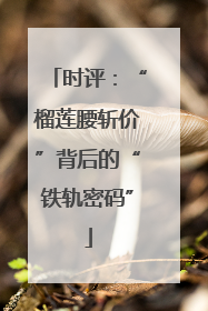 时评：“榴莲腰斩价”背后的“铁轨密码”