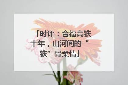 时评：合福高铁十年，山河间的“铁”骨柔情