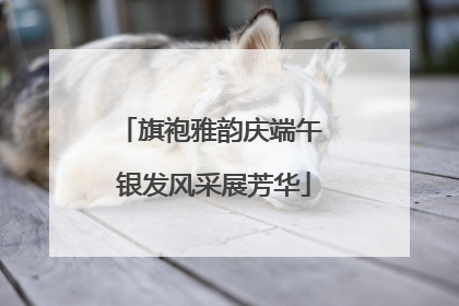 旗袍雅韵庆端午 银发风采展芳华