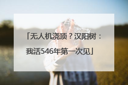 无人机浇顶？汉阳树：我活546年第一次见