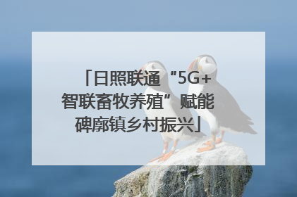 日照联通“5G+智联畜牧养殖”赋能碑廓镇乡村振兴