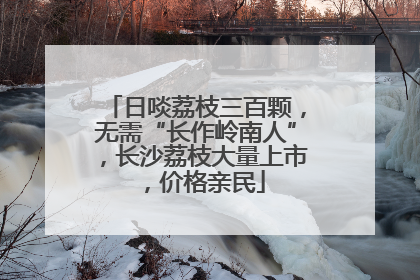 日啖荔枝三百颗，无需“长作岭南人”，长沙荔枝大量上市，价格亲民
