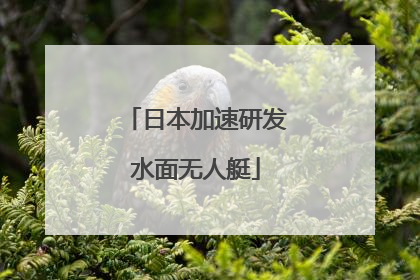 日本加速研发水面无人艇