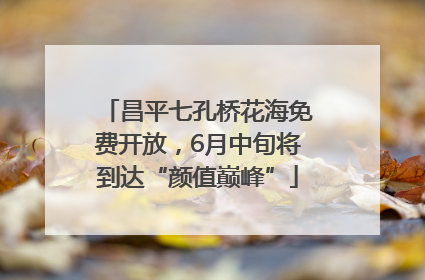 昌平七孔桥花海免费开放，6月中旬将到达“颜值巅峰”