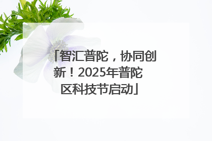 智汇普陀，协同创新！2025年普陀区科技节启动