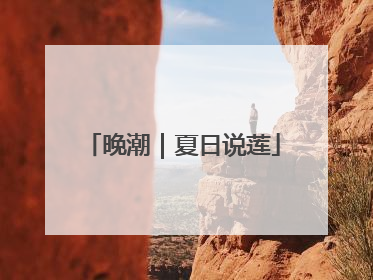 晚潮｜夏日说莲