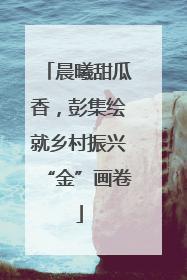 晨曦甜瓜香，彭集绘就乡村振兴“金”画卷
