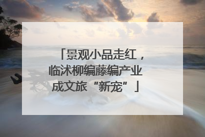 景观小品走红，临沭柳编藤编产业成文旅“新宠”