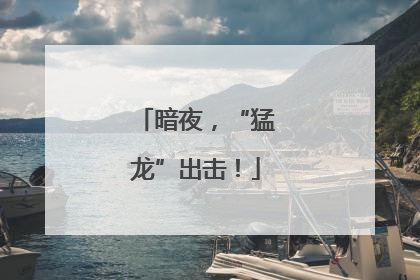 暗夜，“猛龙”出击！