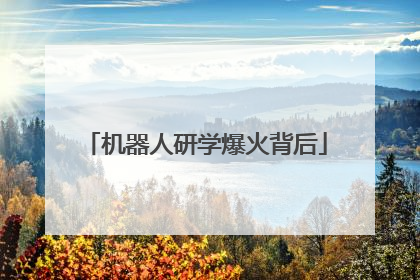 机器人研学爆火背后