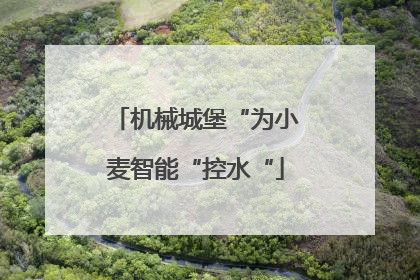 机械城堡“为小麦智能“控水“